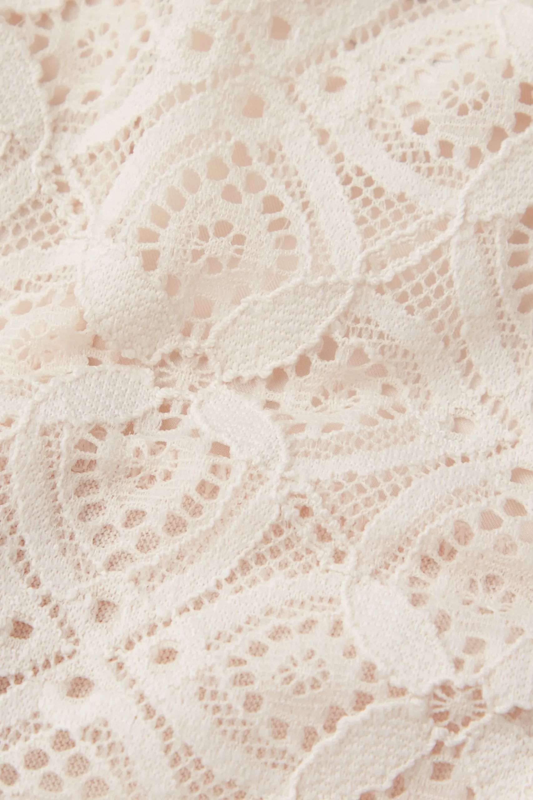 Lace and Microfibre Brazilian trosor